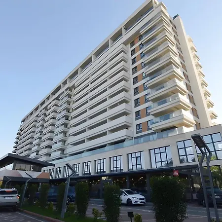 New! Skyline